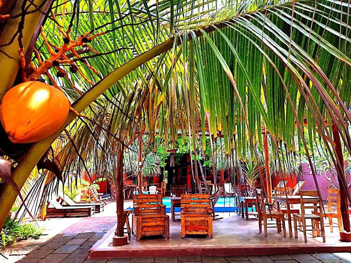El Belga Loco Hotel ลาส เปนีตาส ภายนอก รูปภาพ