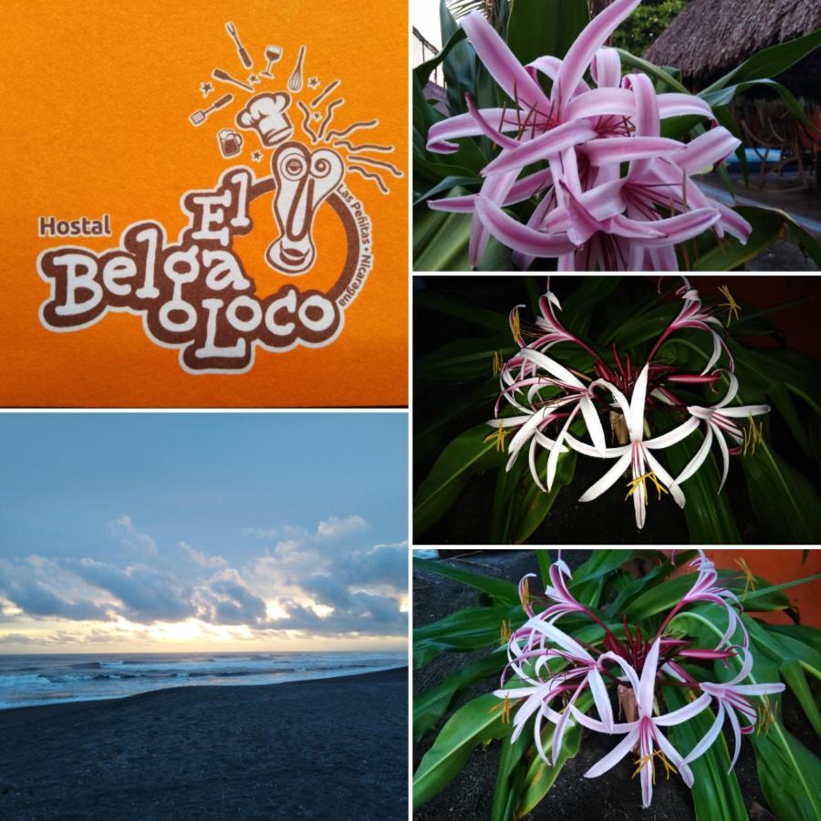 El Belga Loco Hotel ลาส เปนีตาส ภายนอก รูปภาพ